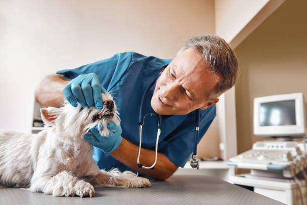 Best Emergency Treatment for Toothache in Milledgeville, GA