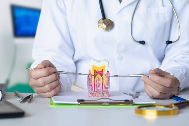 Best Pediatric Emergency Dentist in Milledgeville, GA